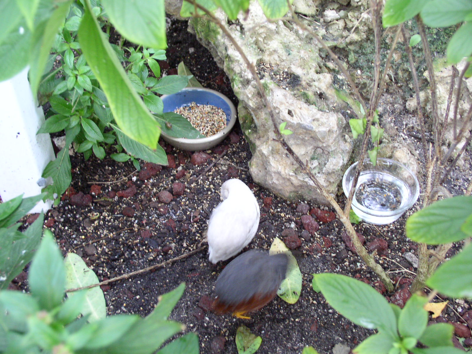 photo1
